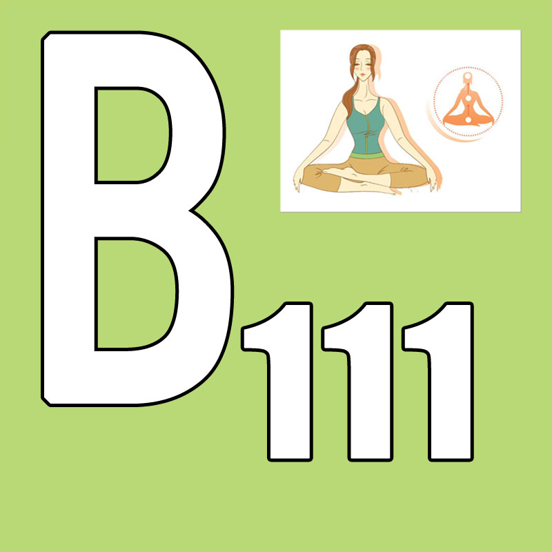 Горячая новинка! Выпуск 2026.Q – обзор и цена Pilates Yoga Taichi